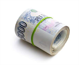 Možnosti financování